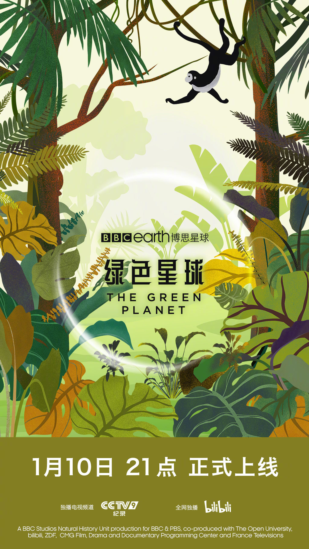 全球首部植物沉浸式纪录片绿色星球今晚上映cctv9b站独播