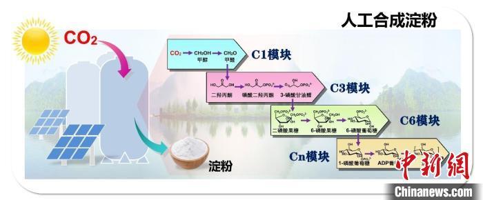 二氧化碳人工合成淀粉等入选2021年度中国生命科学十大进展