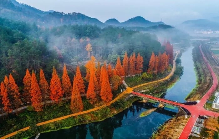 好消息！浙江新增1个国家级湿地公园