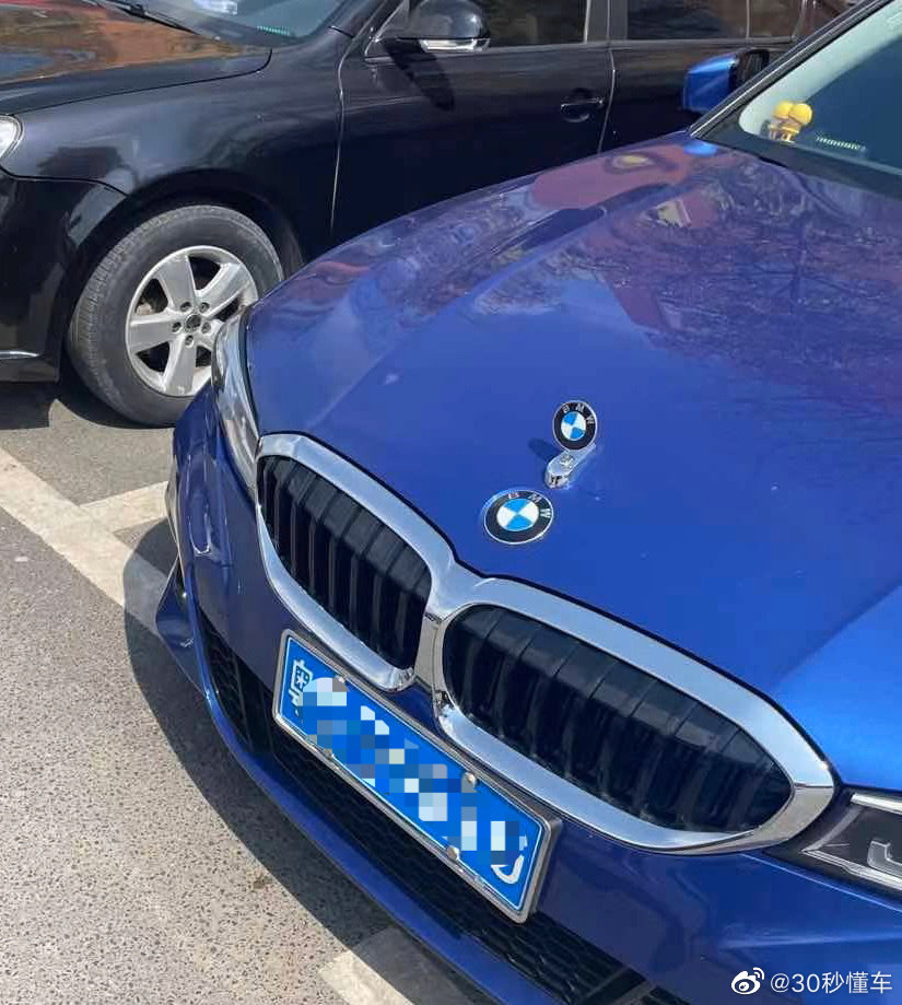 宝马要是弄个立标多少有点拉低品味了吧