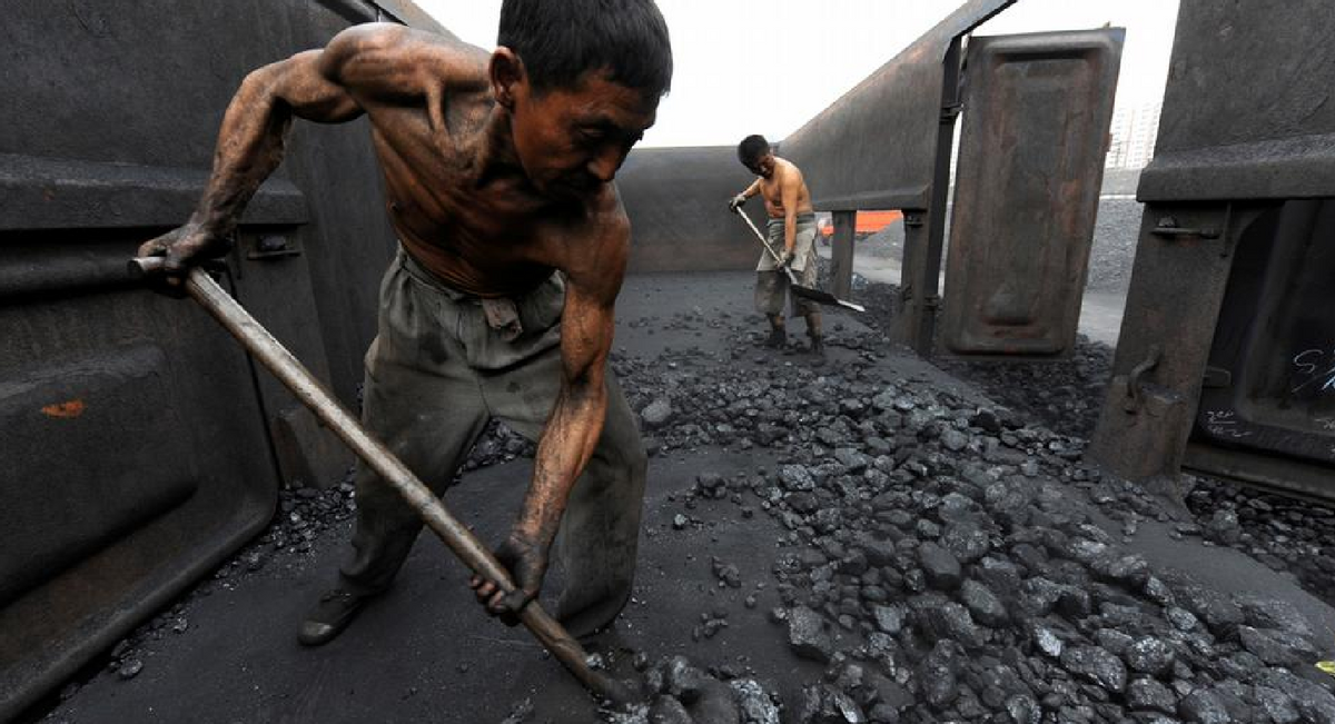 动力煤|煤炭|印尼_新浪新闻