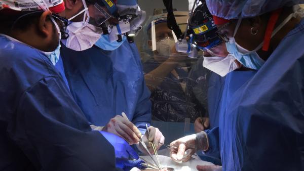 全球首例！美国心脏病患者接受猪心移植