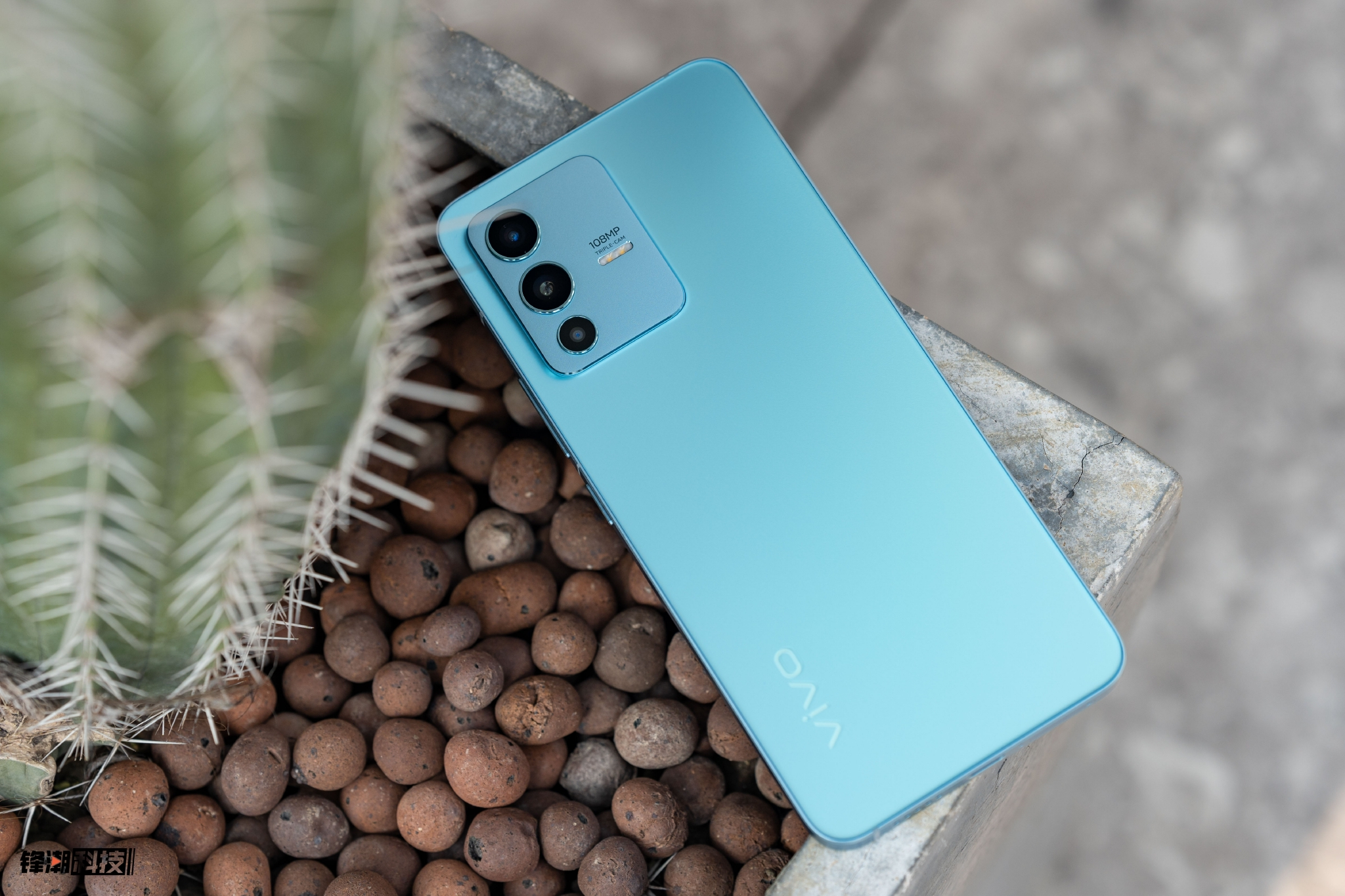 vivoS12图片,vivos12手机图片 vivo s12图赏:优秀的自拍和旗舰的配置兼得__财经头条