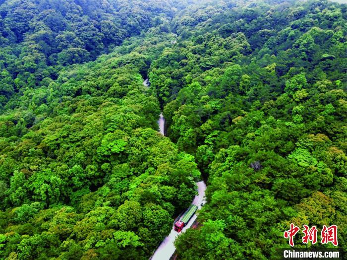 广东推动建立高质量的自然保护地体系(资料图) 广东省林业局 供图