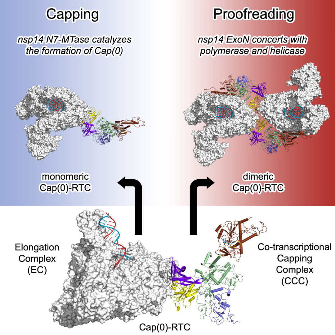谁最能代表2021年度中国生命科学