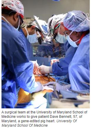 全球首例！患者接受猪心移植休闲区蓝鸢梦想 - Www.slyday.coM