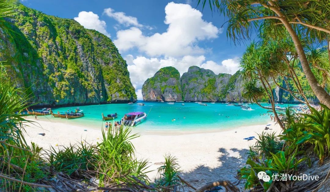 玛雅湾|pp岛|游客_新浪新闻