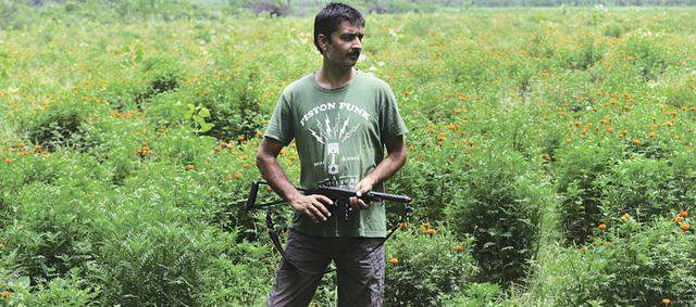 猖狂！印度婴儿遭野猴扔进水箱死亡，失控猴子成为了印度的新威胁休闲区蓝鸢梦想 - Www.slyday.coM