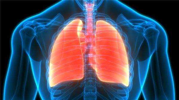 被投百草枯女孩换肺成功，后续情况却仍不乐观休闲区蓝鸢梦想 - Www.slyday.coM