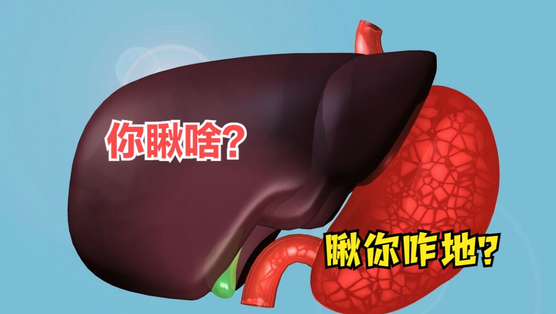 肝胃不和作恶多端深入各种疾病其实治疗的关键只有两个