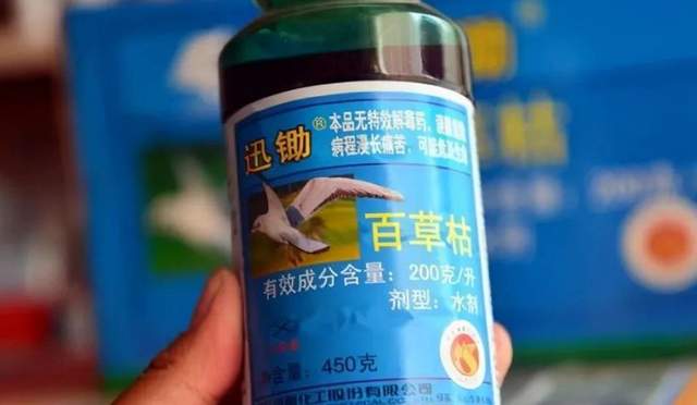 被投百草枯女孩换肺成功，后续情况却仍不乐观休闲区蓝鸢梦想 - Www.slyday.coM