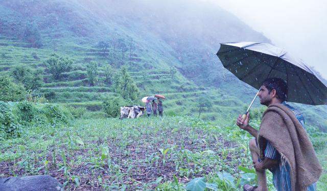 猖狂！印度婴儿遭野猴扔进水箱死亡，失控猴子成为了印度的新威胁休闲区蓝鸢梦想 - Www.slyday.coM