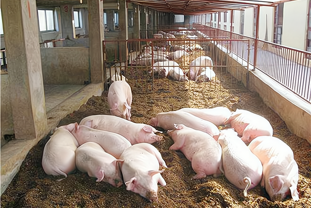 猪肉鸡蛋牛羊肉下跌春节期间会大涨吗农业农村部给出答案