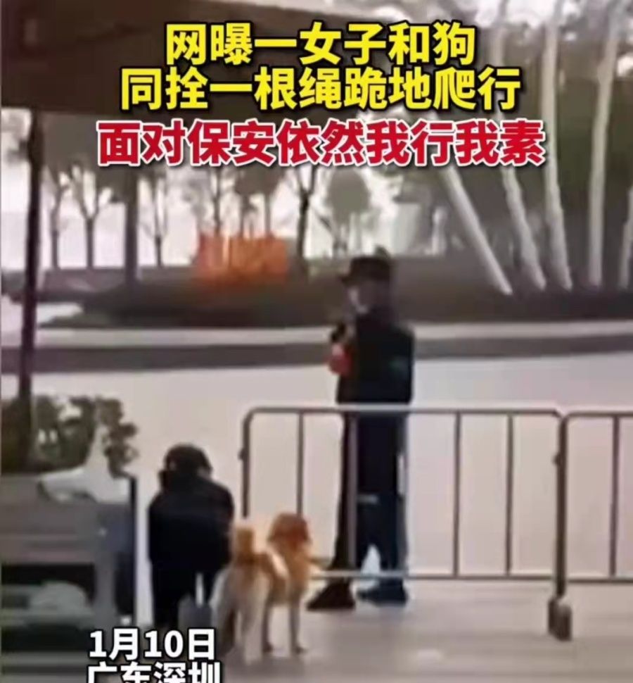 广东：女子脖子上拴着狗绳，跪在地上与爱犬一起在马路上爬行休闲区蓝鸢梦想 - Www.slyday.coM
