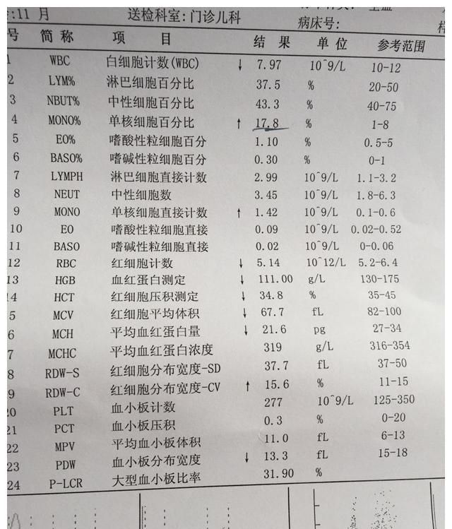 有红细胞计数rbc血红蛋白hb白细胞wbc白细胞分类计数及血小板plt等