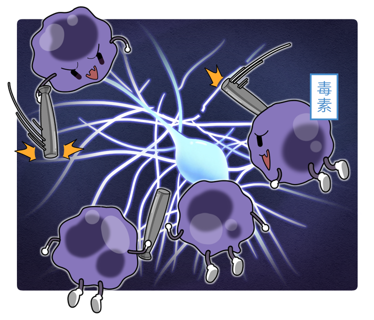 直接激活痛觉神经元的毒素可以绕过免疫细胞"食肉菌"