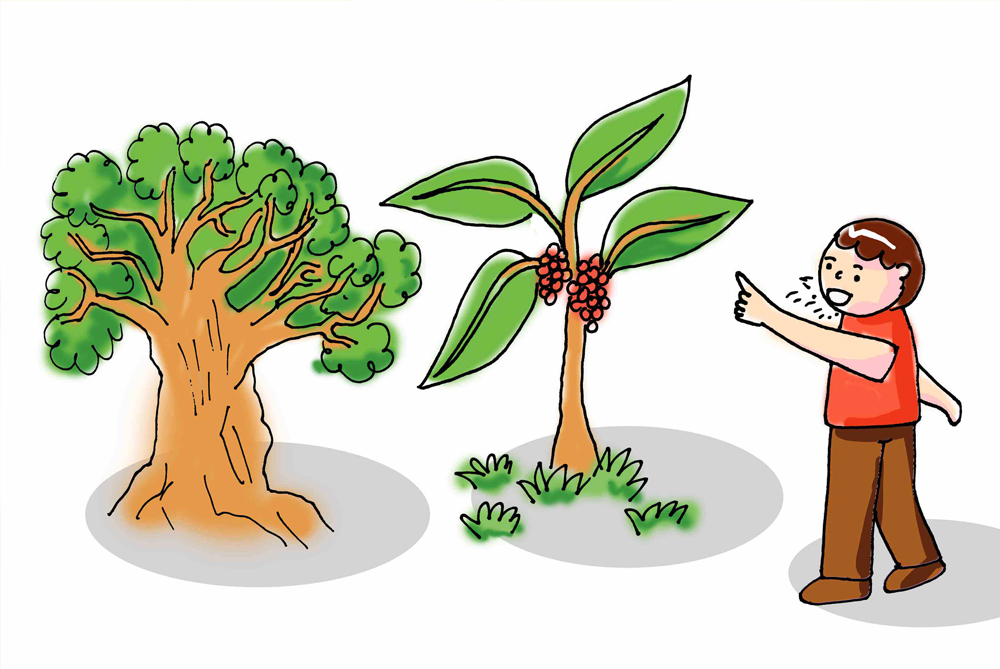 人们常说的指桑骂槐跟桑树槐树有关系吗