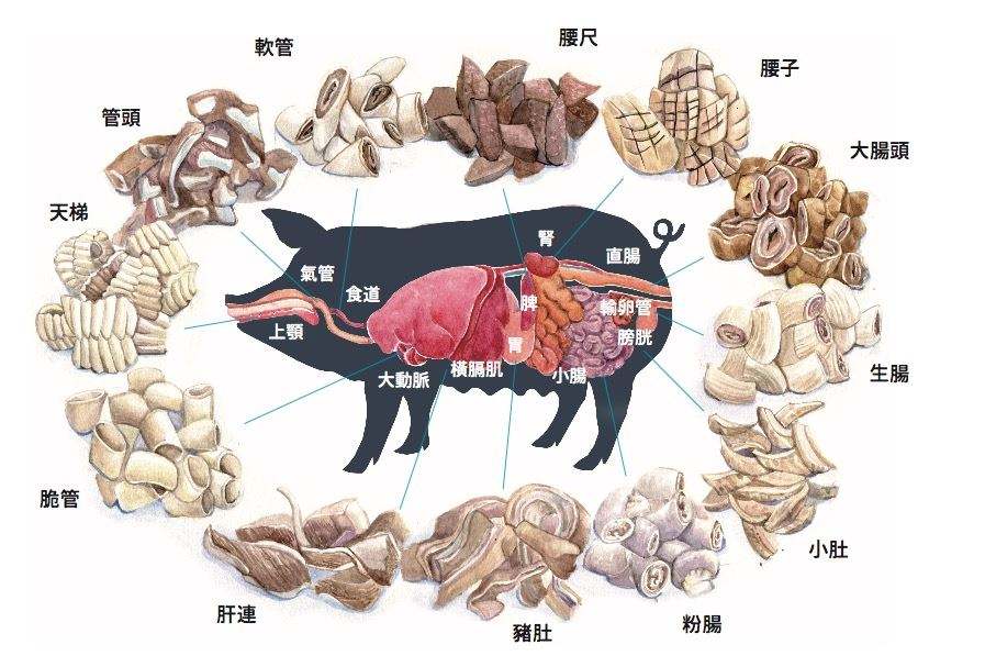 二师兄立功美国将猪心移植给57岁病人术后3天病情稳定