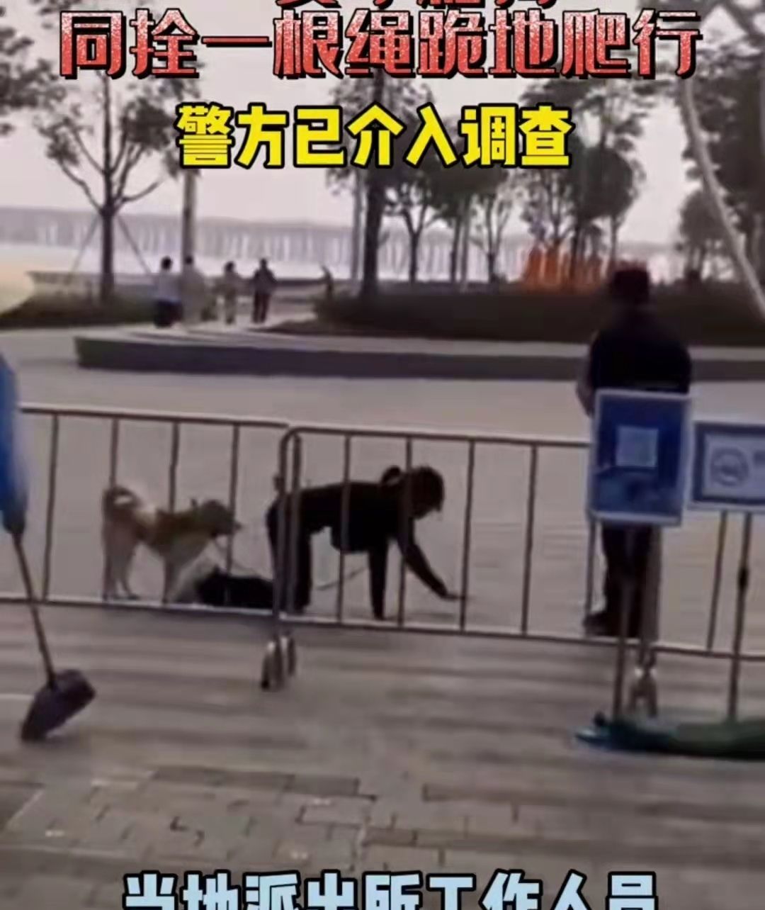 广东：女子脖子上拴着狗绳，跪在地上与爱犬一起在马路上爬行休闲区蓝鸢梦想 - Www.slyday.coM