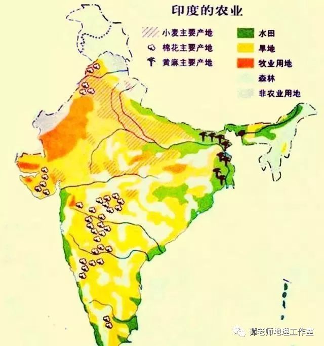 南亚粮食作物分布图片