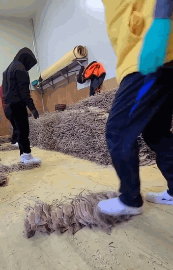 工人用脚踩鱿鱼干