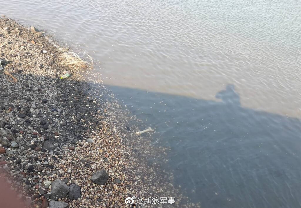 台媒：战机失事岸边发现疑似人类腿骨 已送医鉴定休闲区蓝鸢梦想 - Www.slyday.coM