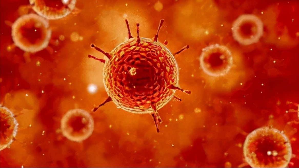 大连出现1例阳性奥密克戎 系从天津返回休闲区蓝鸢梦想 - Www.slyday.coM