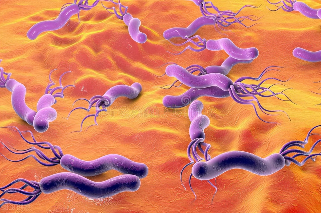 查出感染幽门螺旋杆菌一定要治疗吗？男友怀疑我得幽门螺旋杆菌后休闲区蓝鸢梦想 - Www.slyday.coM