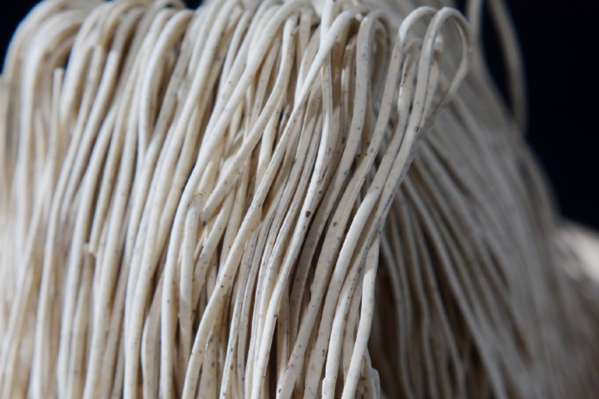 但是由于储存不当,面条发霉长斑,小于就扔了一些霉变严重的,继续吃