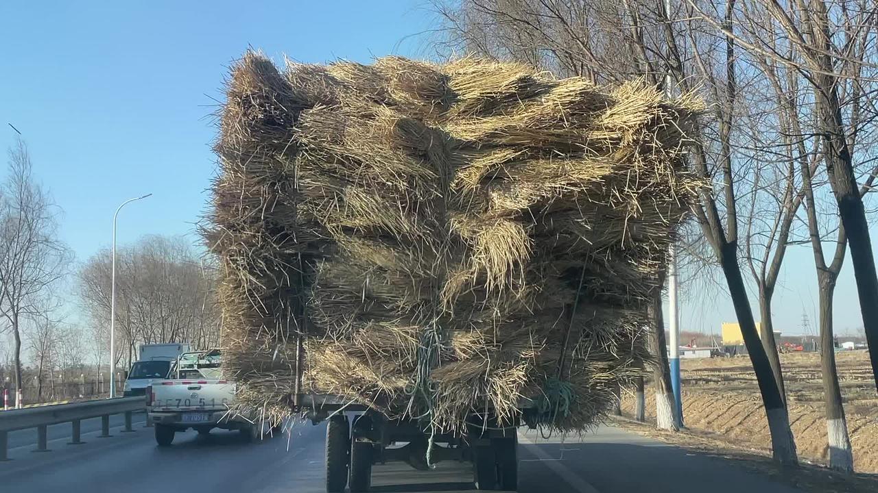 这车稻草怎么垛成了偏呲愣子,担心它半道儿倒了丹东 辽宁