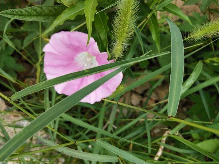 不吐不快：尊重才是宽容和善良，所以有张会克制的嘴很重要休闲区蓝鸢梦想 - Www.slyday.coM