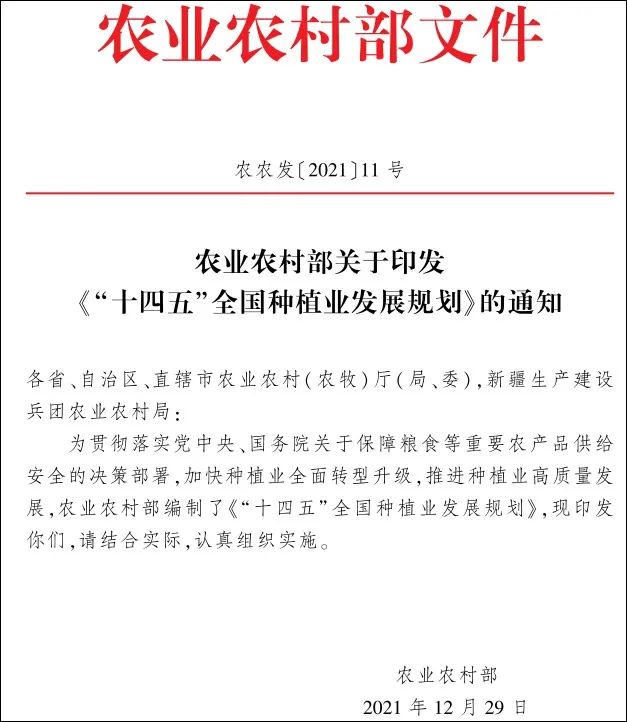 为完成2022年"重大政治任务"，中国出新招