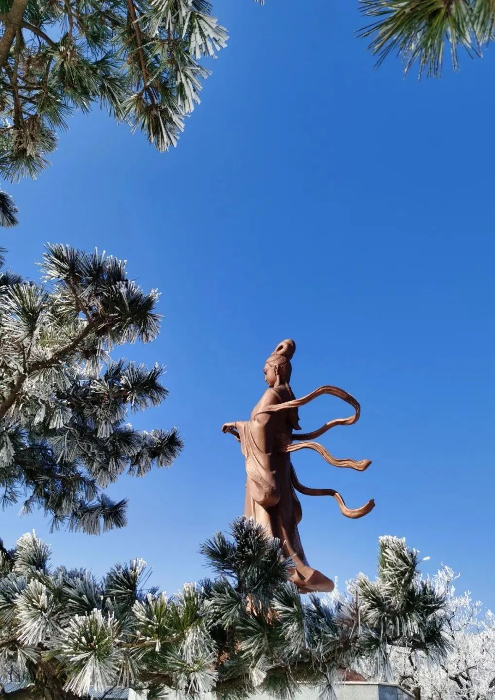 连云港花果山绝美雾凇上线啦|花果山|雾凇|连云港市_新浪新闻