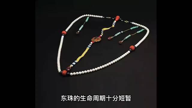 拍卖价值6000万的雍正御用东珠朝珠——皇家御用珍珠为何绝迹？_新浪新闻