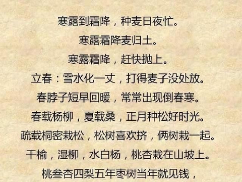 秧苗没死人故意把秧苗霍霍死了,这是什么行为,是不是人品不行
