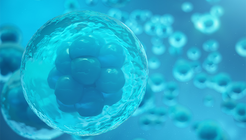 专注细胞生物科技达尔文生物完成a轮融资