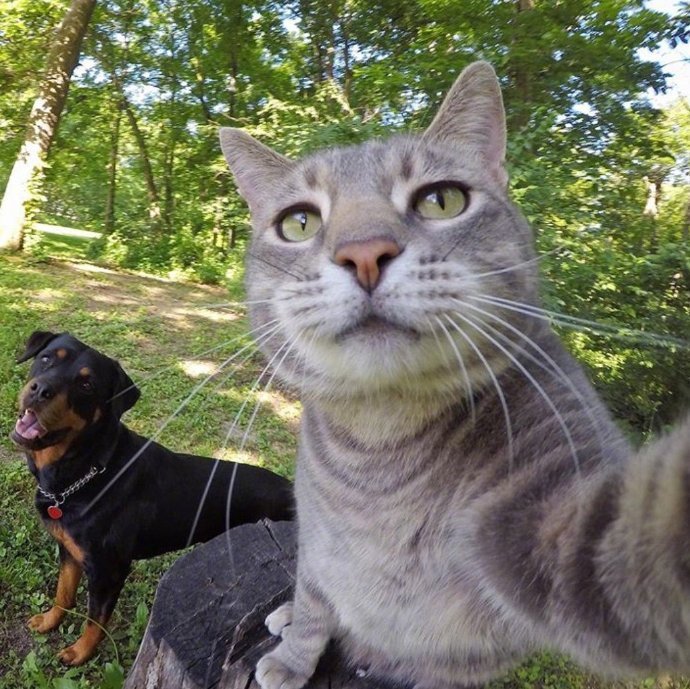 拿图点赞哦～ 日常自拍 头像