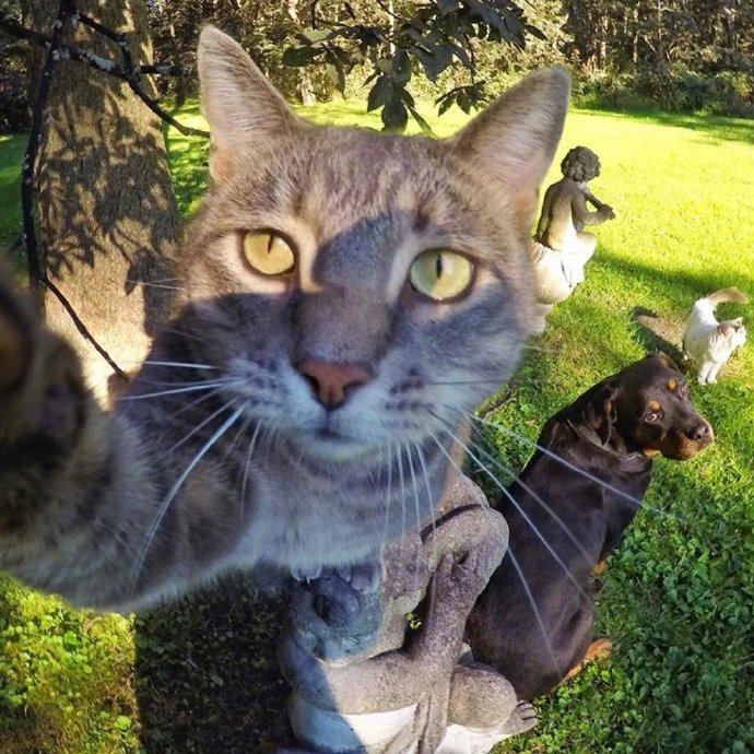 拿图点赞哦～ 日常自拍 头像