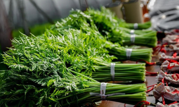 清香味是芹菜的3倍 蘼 Mi 芜 Wu 是个啥东东 加工方式也太新潮了吧 彭州 芽苗 川芎 新浪新闻