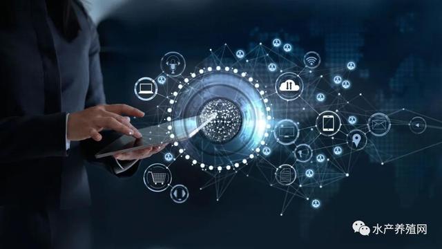 为什么有的养殖户饲料越用越便宜？休闲区蓝鸢梦想 - Www.slyday.coM