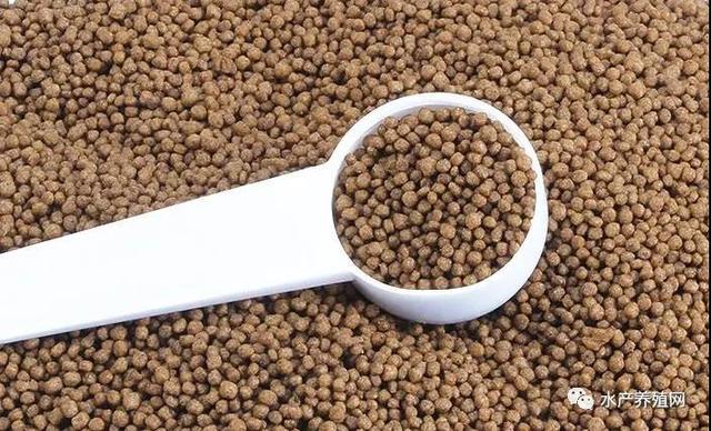 为什么有的养殖户饲料越用越便宜？休闲区蓝鸢梦想 - Www.slyday.coM