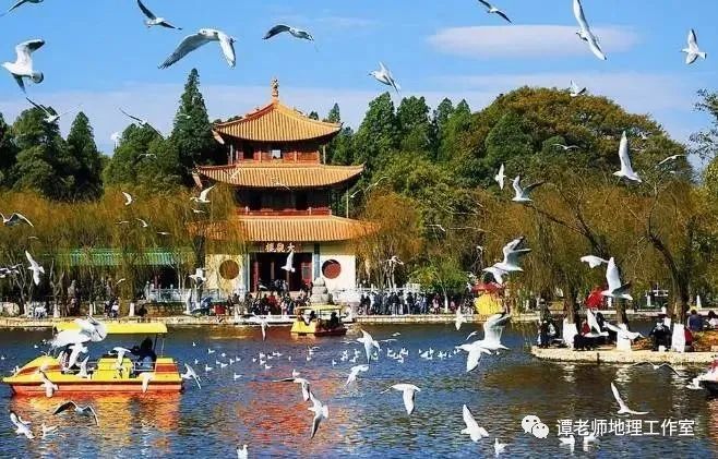 春城高端休闲产业升级：从传统茶文化到现代服务业态转型