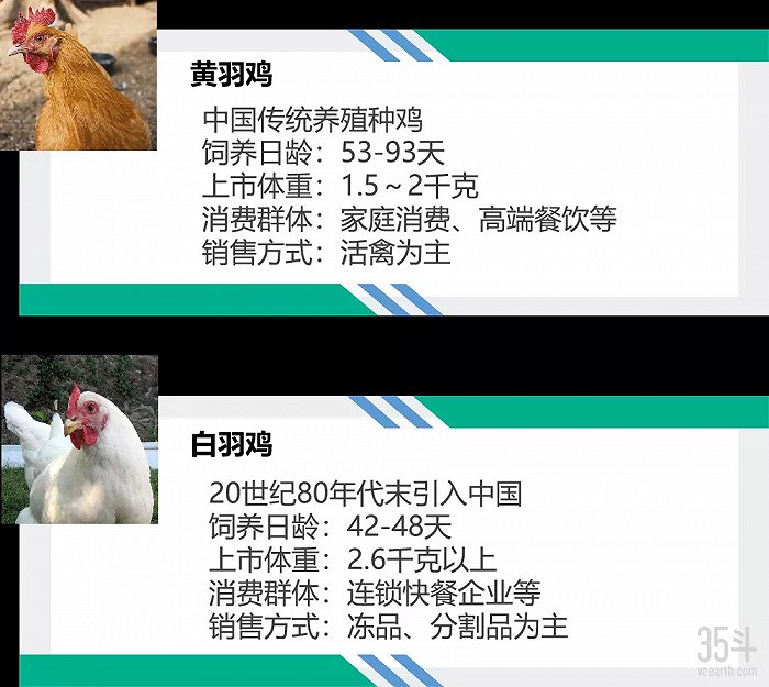 数据来源：公开网站，35斗整理