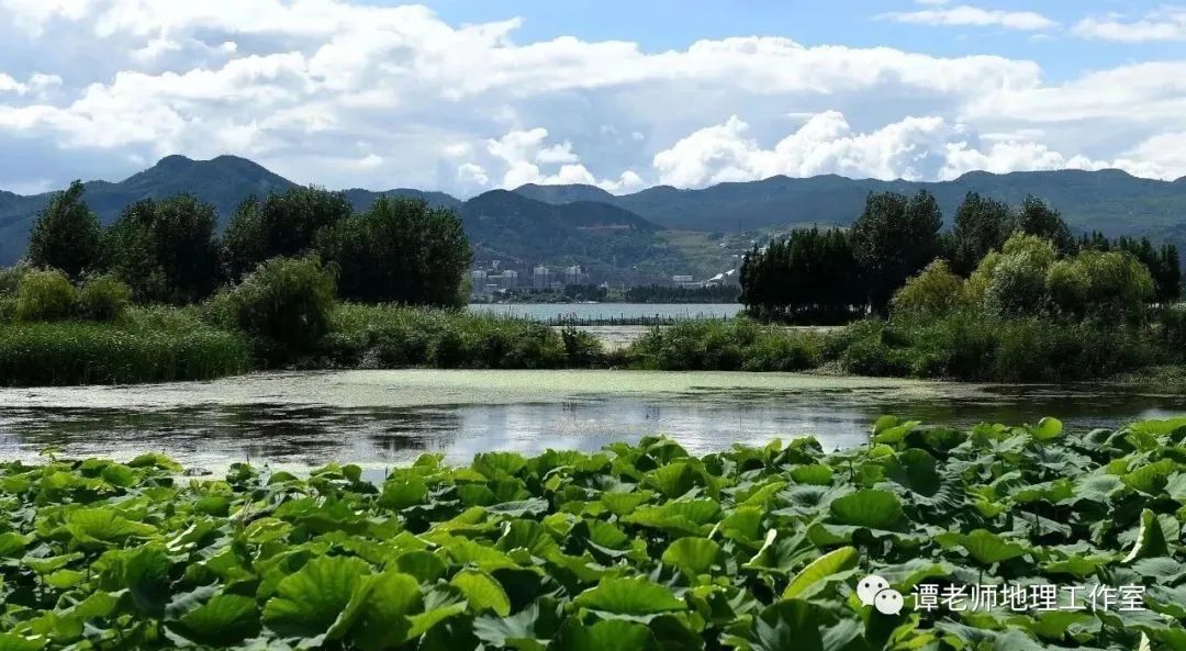 昆明约爱深度解析,春城浪漫之都的情感密码