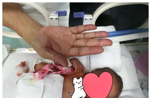 来这里生娃涨姿势→|鸟巢|患儿|护士_新浪新闻