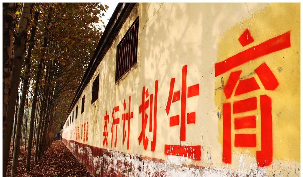 “独生子女”的父母：退休金是否有“法律”规定上调5%？答案来休闲区蓝鸢梦想 - Www.slyday.coM