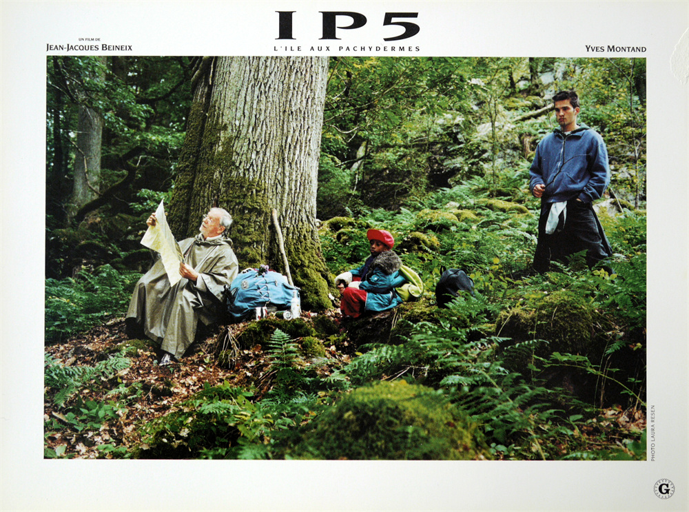 巴黎野玫瑰影评