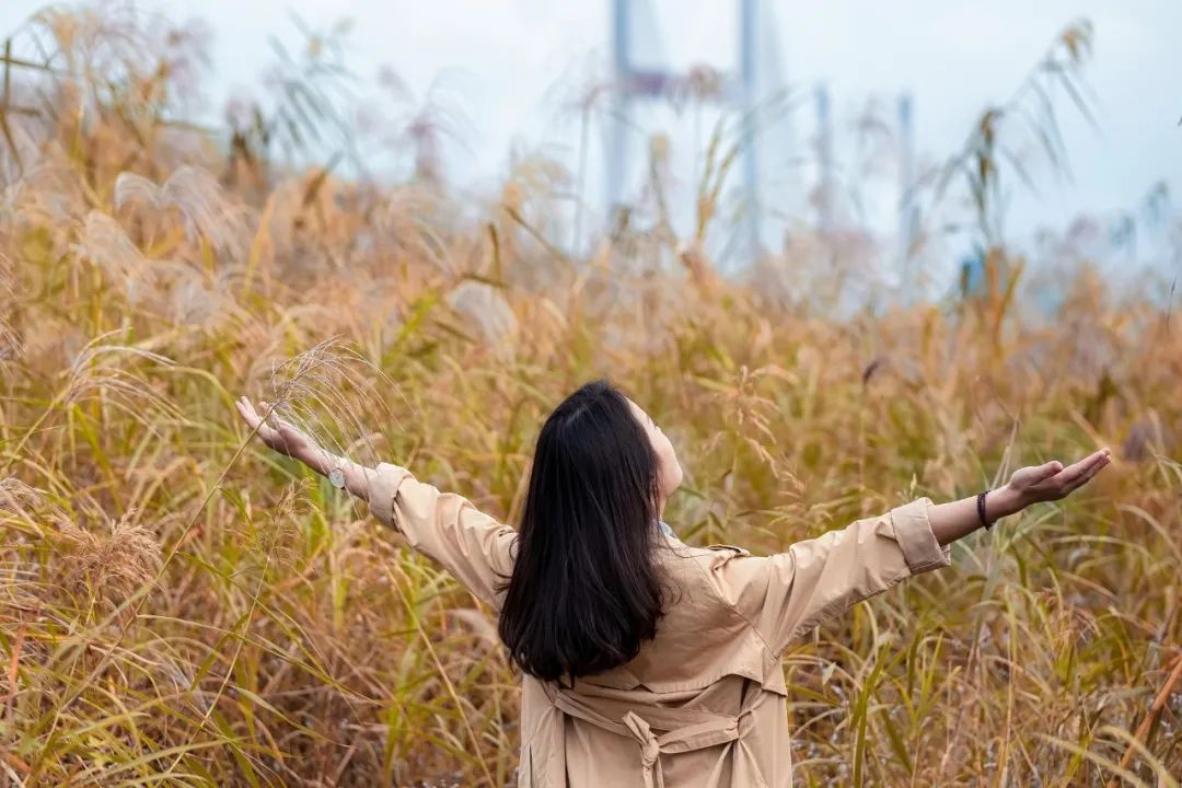 中年人最好的活法:物质低配,家庭高配,精神顶配