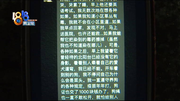 宠物猫被误伤，小区里的流浪猫喂还是不喂？休闲区蓝鸢梦想 - Www.slyday.coM