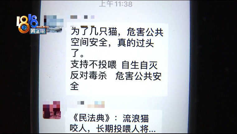 宠物猫被误伤，小区里的流浪猫喂还是不喂？休闲区蓝鸢梦想 - Www.slyday.coM